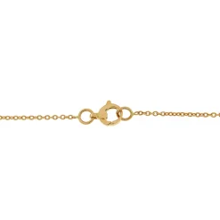 Hot Collana Prasiolite Cuore in Oro Rosa Collane