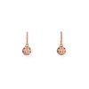 Clearance Orecchini Amen Coccinella Nera con Zirconi in Argento Gioielli Amen | Outlet Gioielli